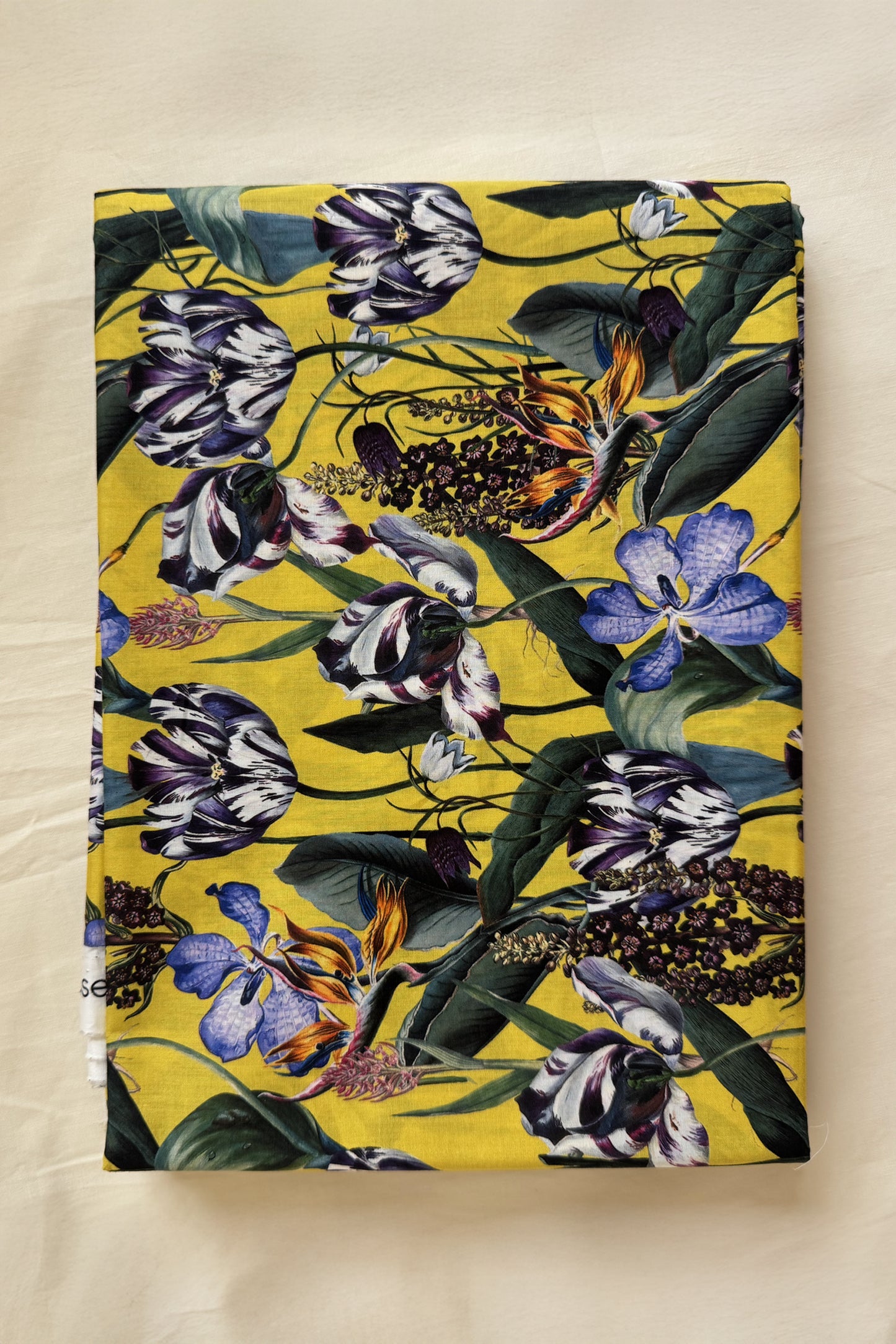 Tulip Garden in yellow