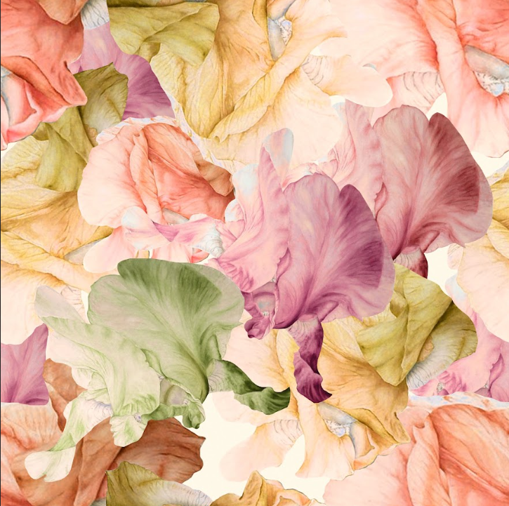 Rose Petals in Peach